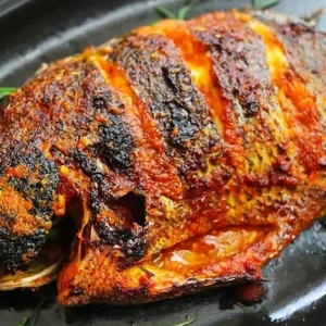 Croaker Fish